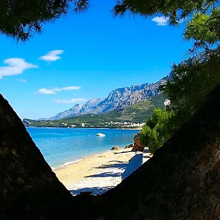 Hotel Andrea Podgora (Split-Dalmatia)